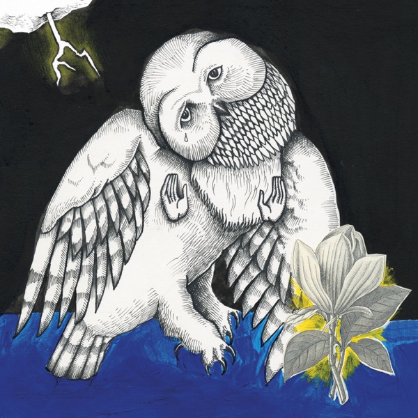 Magnolia Electric Co. (Deluxe Edition) album cover