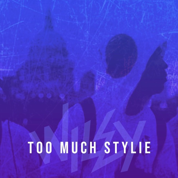 Too Much Stylie - Single album cover