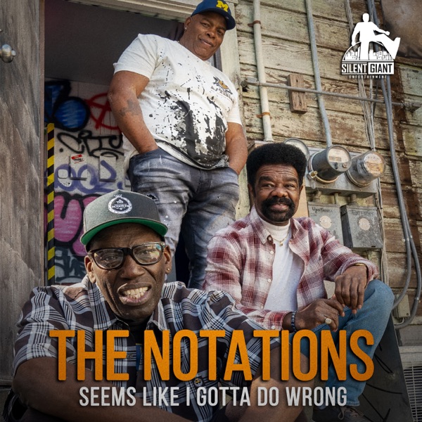 Seems Like I Gotta Do Wrong - Single album cover