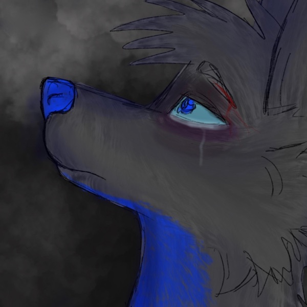 Songs From a Broken Mind album cover