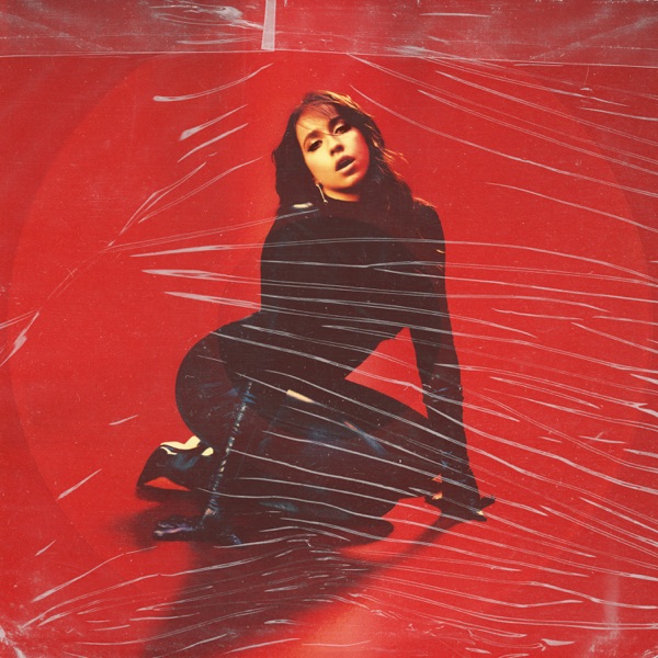what would you do? (Galantis Remix) - Single album cover