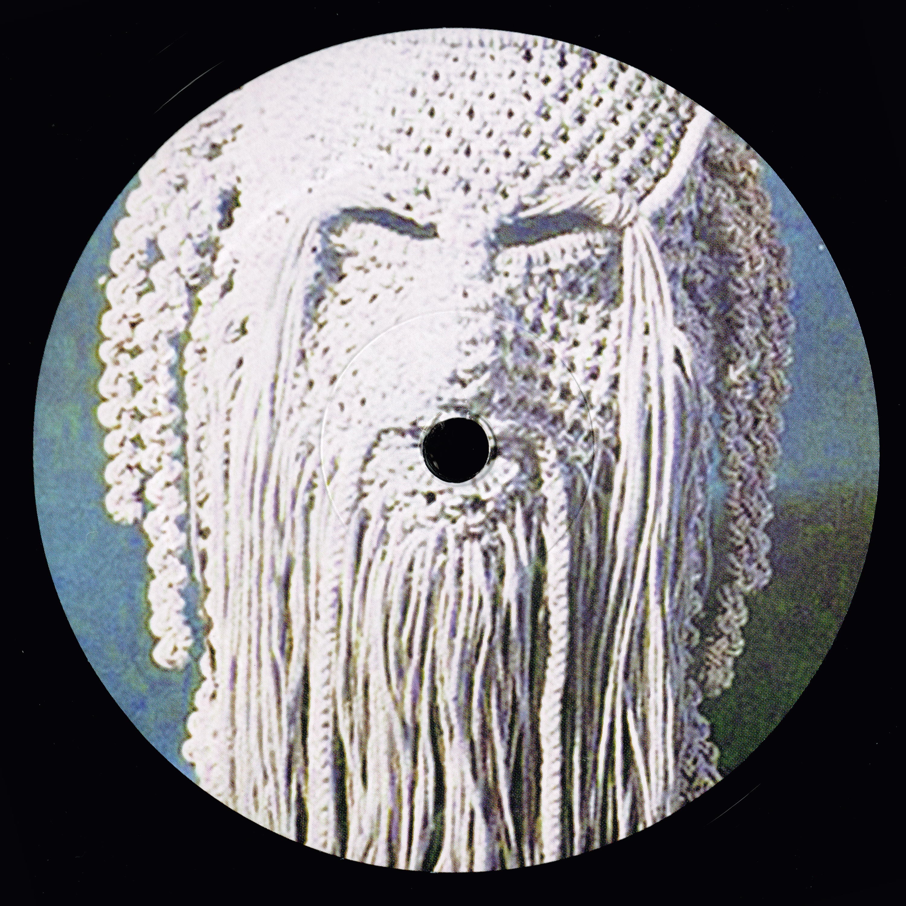 Sinai Hypnosis - Single album cover