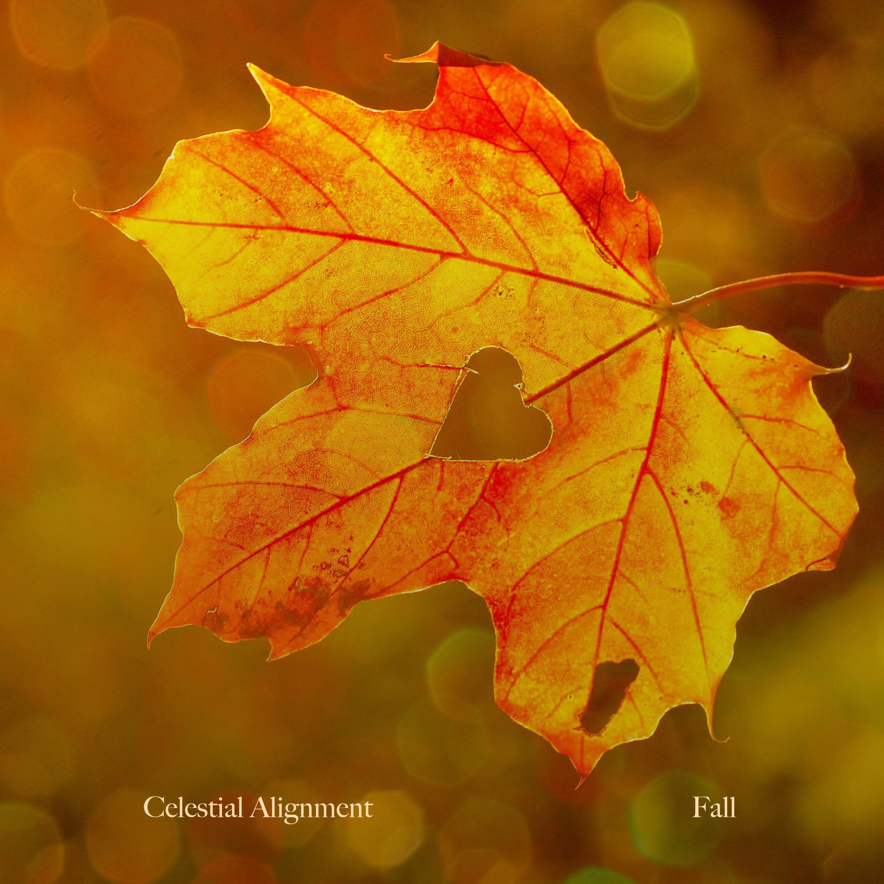 Fall - Single album cover