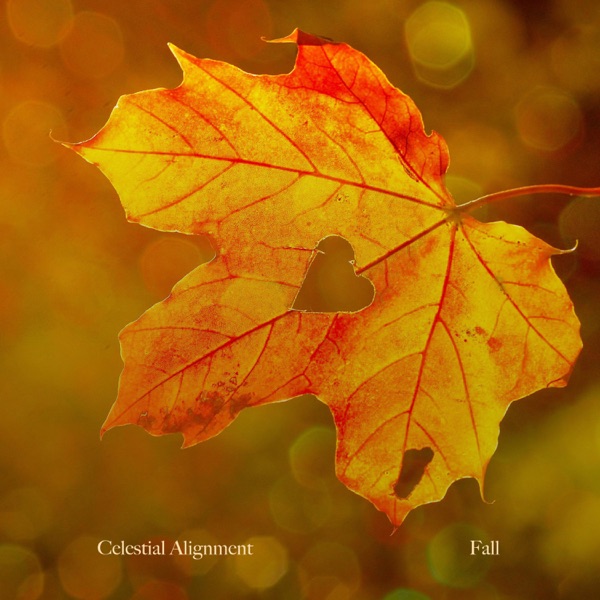 Fall - Single album cover