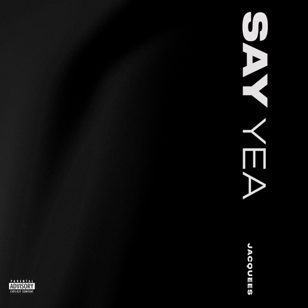 Say Yea - Single album cover