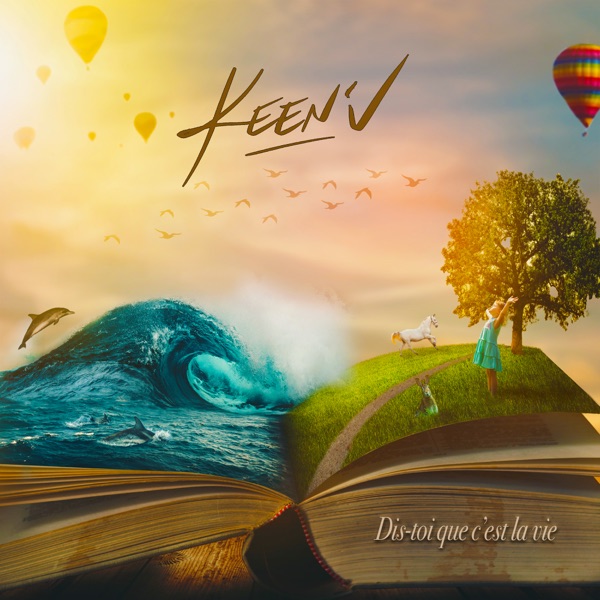 Dis-toi que c'est la vie - Single album cover