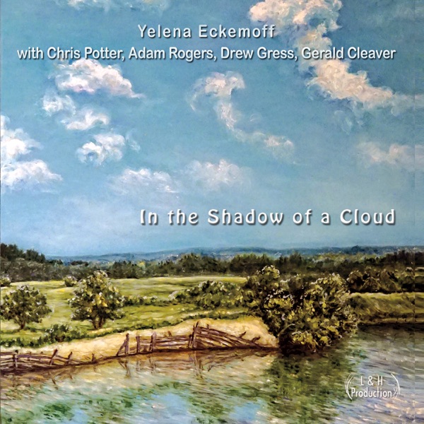In the Shadow of a Cloud (feat. Chris Potter, Adam Rogers, Drew Gress & Gerald Cleaver) album cover