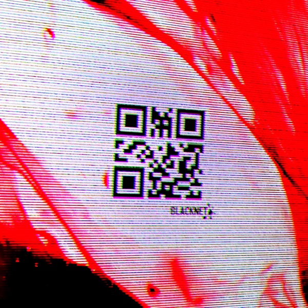 Bleed (feat. Diadu) - Single album cover