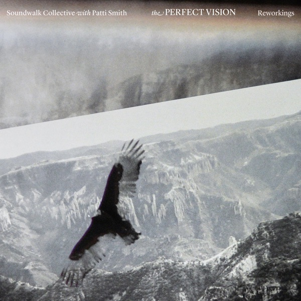 The Perfect Vision Reworkings album cover