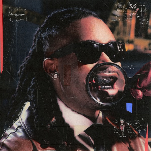 THE INSPECTION album cover