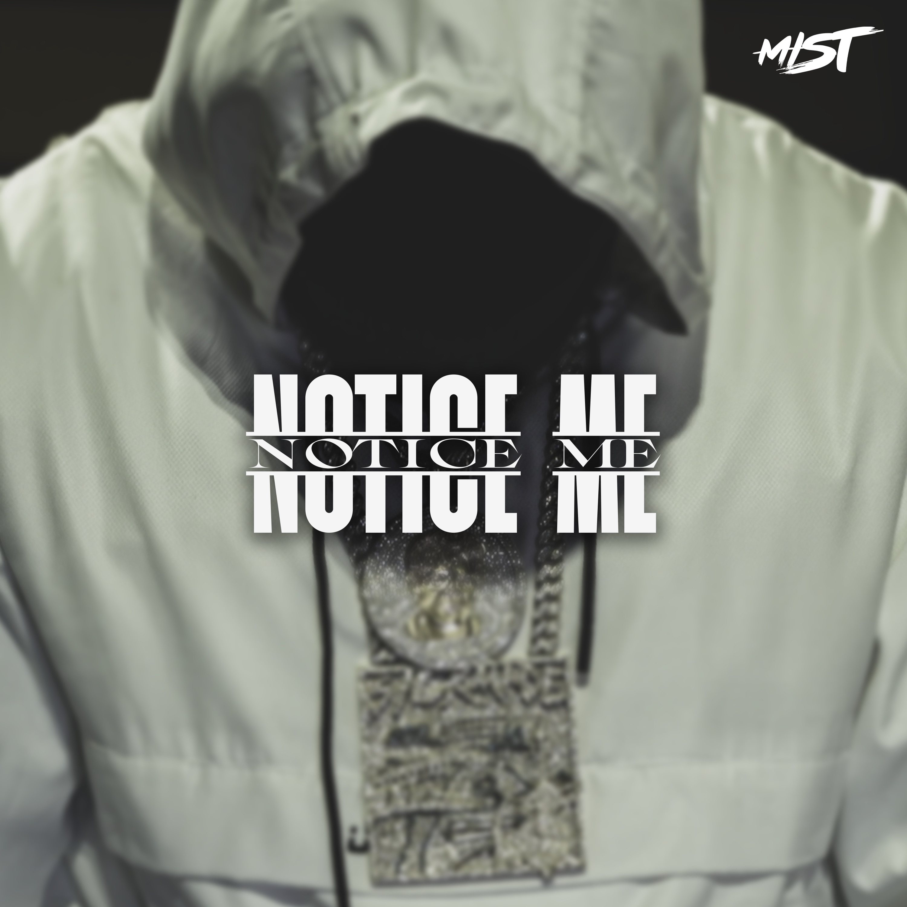 Notice Me - Single album cover