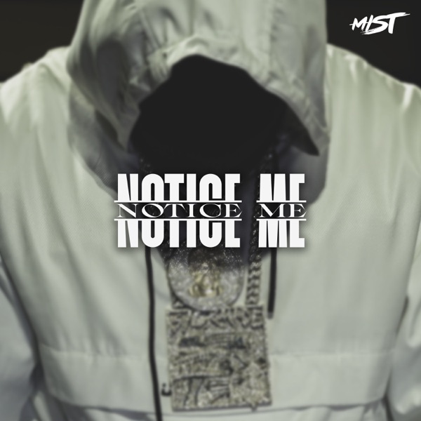 Notice Me - Single album cover