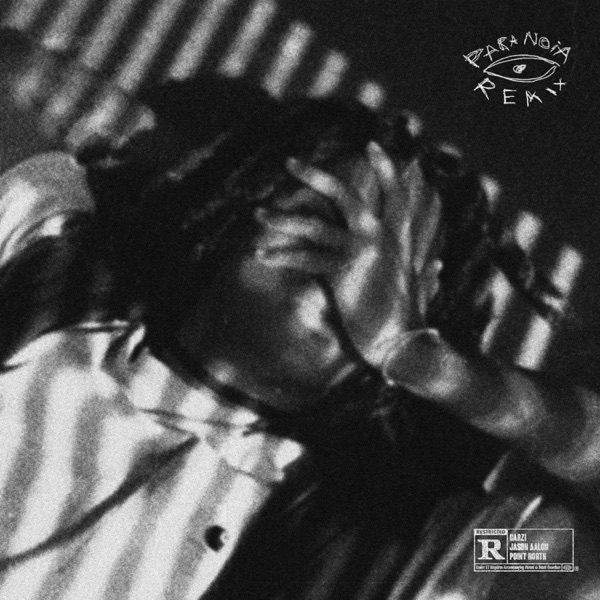PARANOIA (feat. Jason Aalon Butler) [Remix] - Single album cover