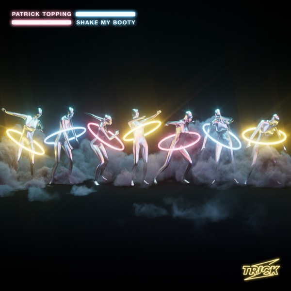Shake My Booty - Single album cover