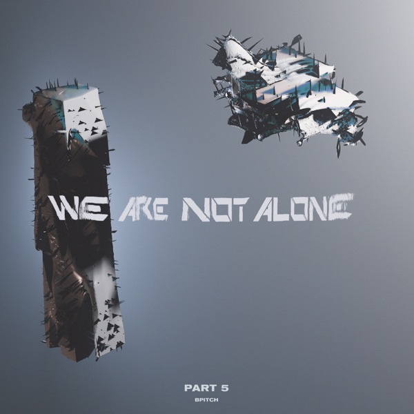 Ellen Allien Presents We Are Not Alone, Pt. 5 album cover