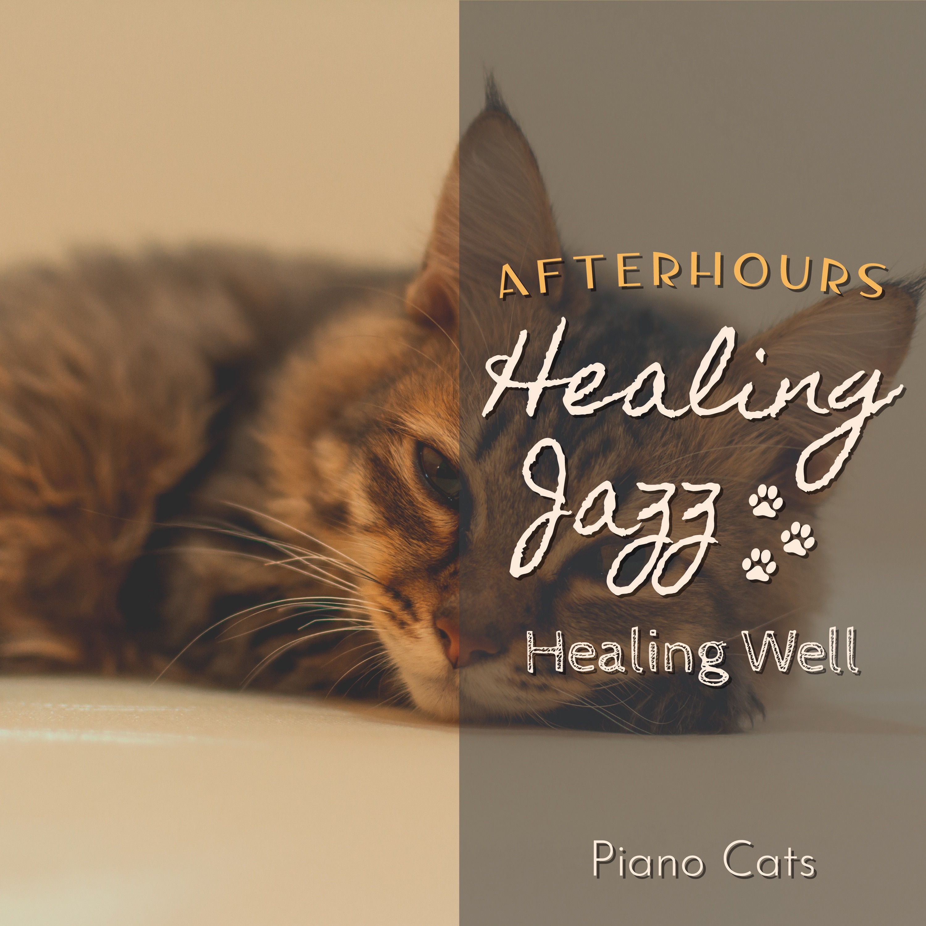 Healing Jazz:Afterhours - Healing Well album cover