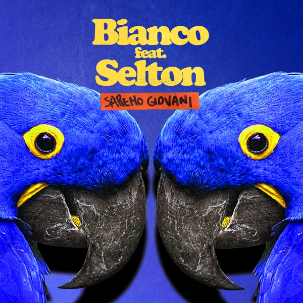 Saremo Giovani - Single album cover