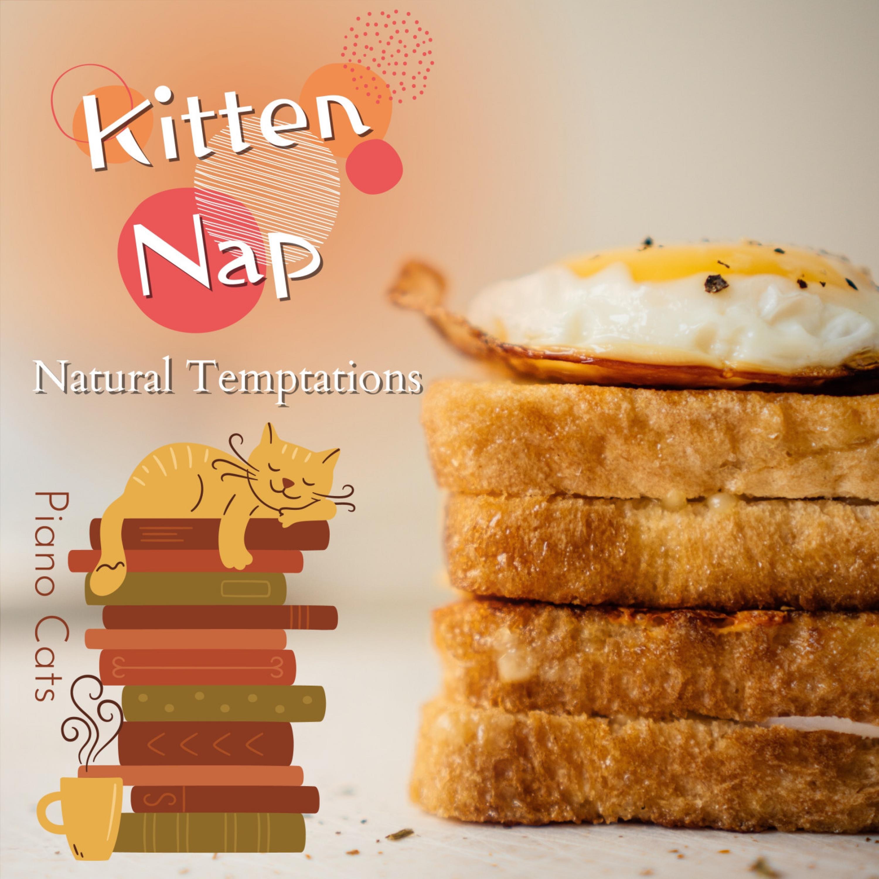 Kitten Nap - Natural Temptations album cover