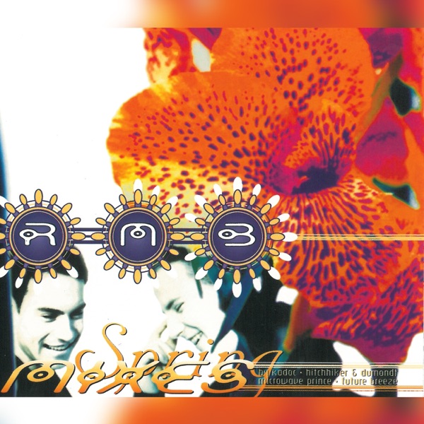 Spring (Remixes) - EP album cover