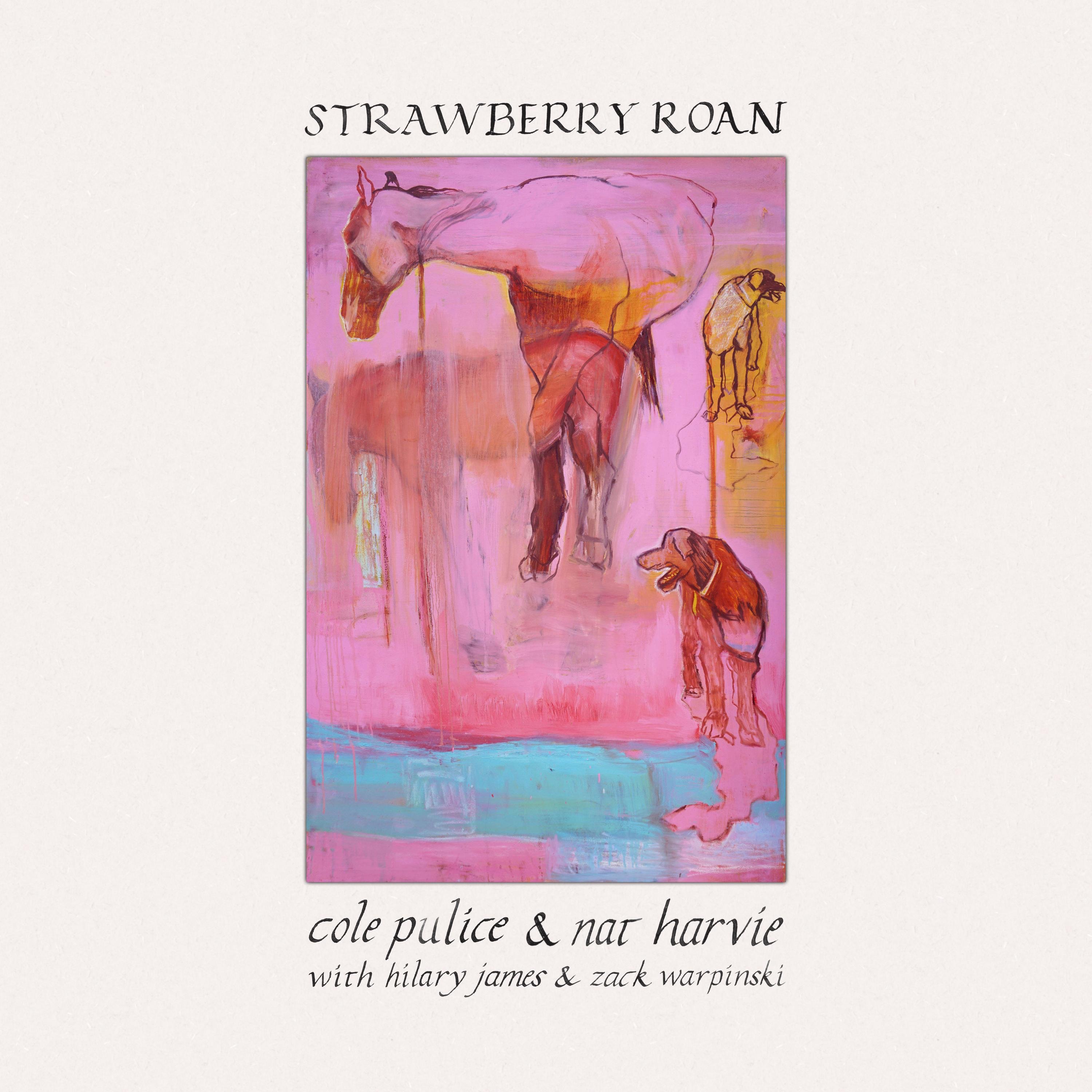 Strawberry Roan album cover