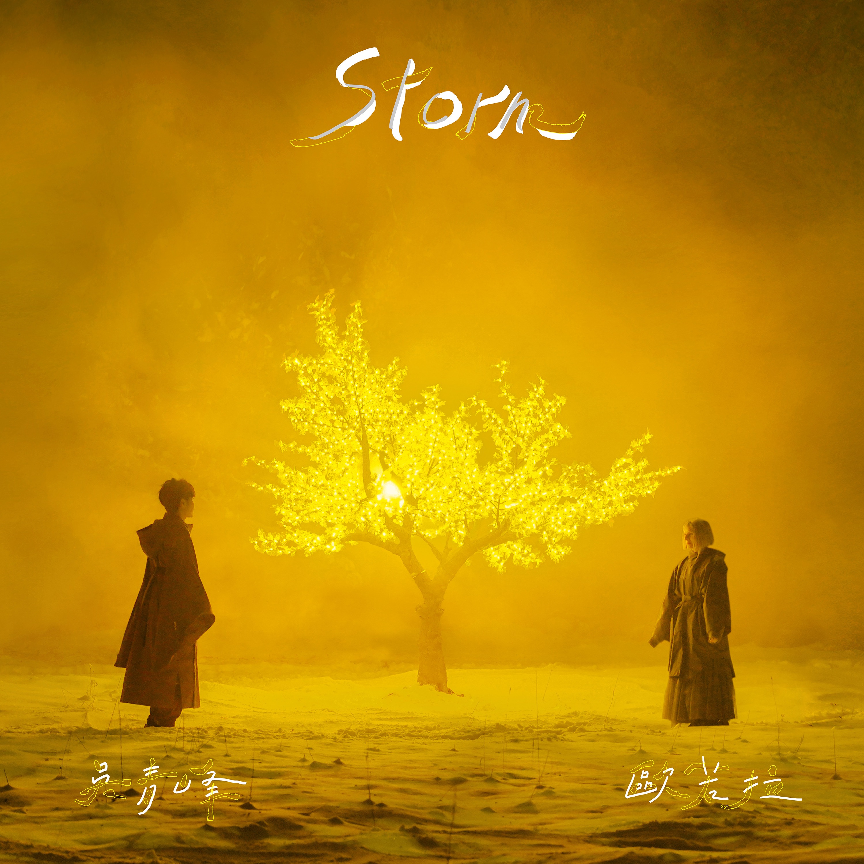 Storm - Single album cover