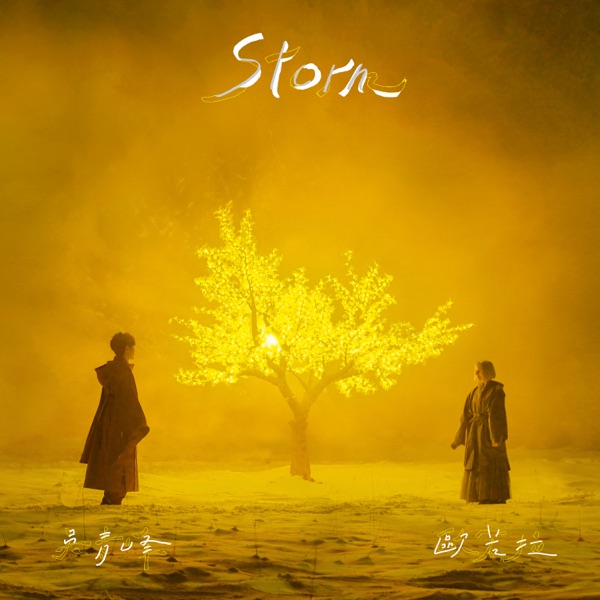 Storm - Single album cover