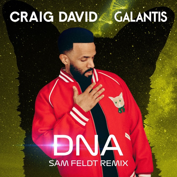 DNA (Sam Feldt Remix) - Single album cover