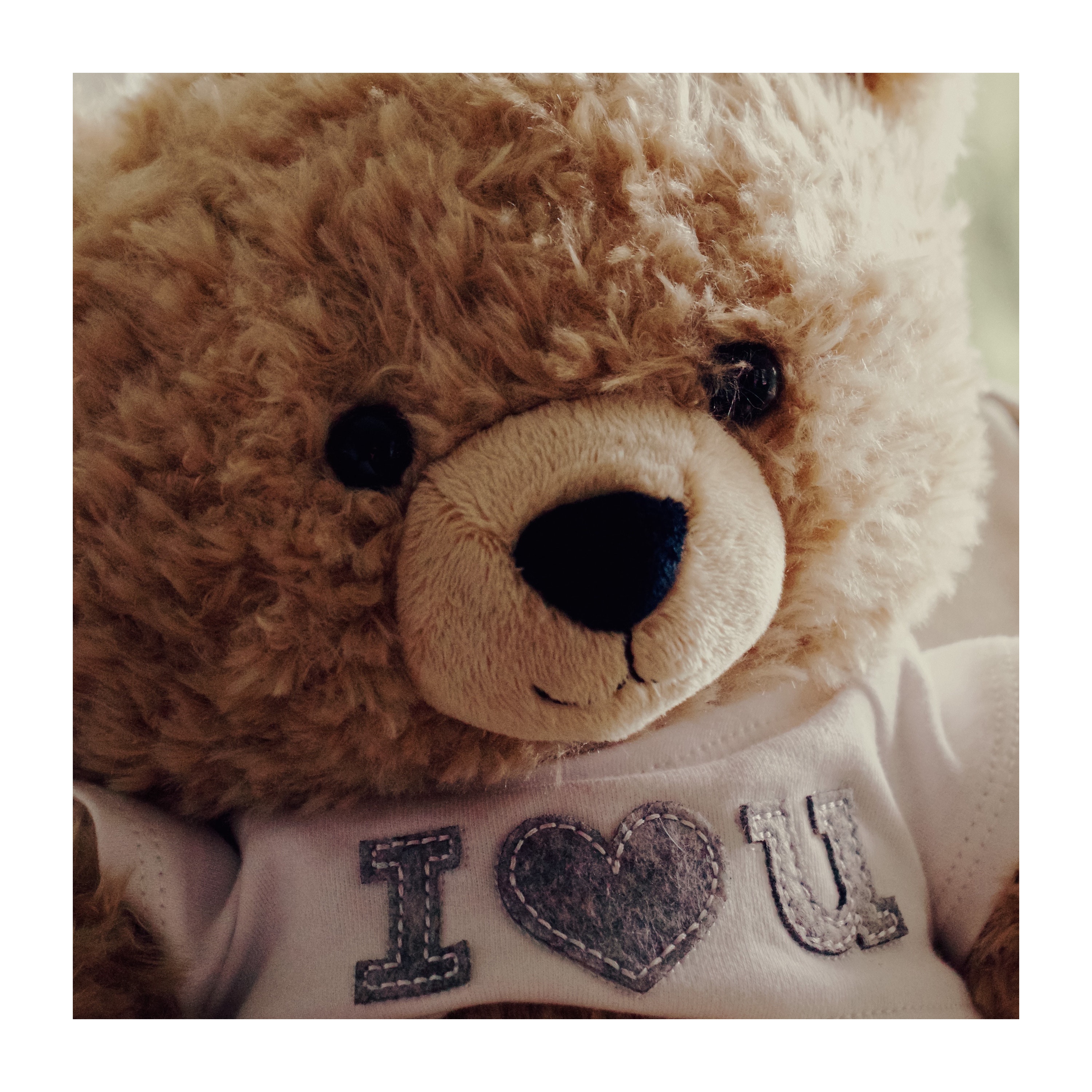 Lovely Storytelling album cover