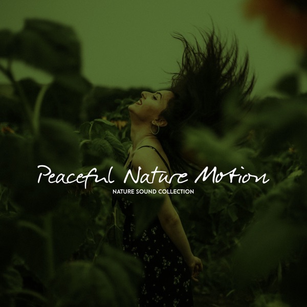 Peaceful Nature Motion album cover