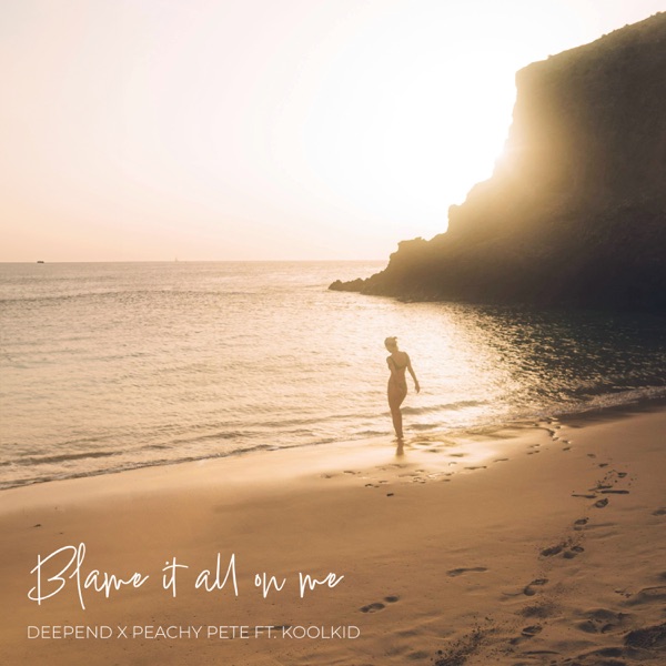 Blame It All On Me (feat. KOOLKID) - Single album cover