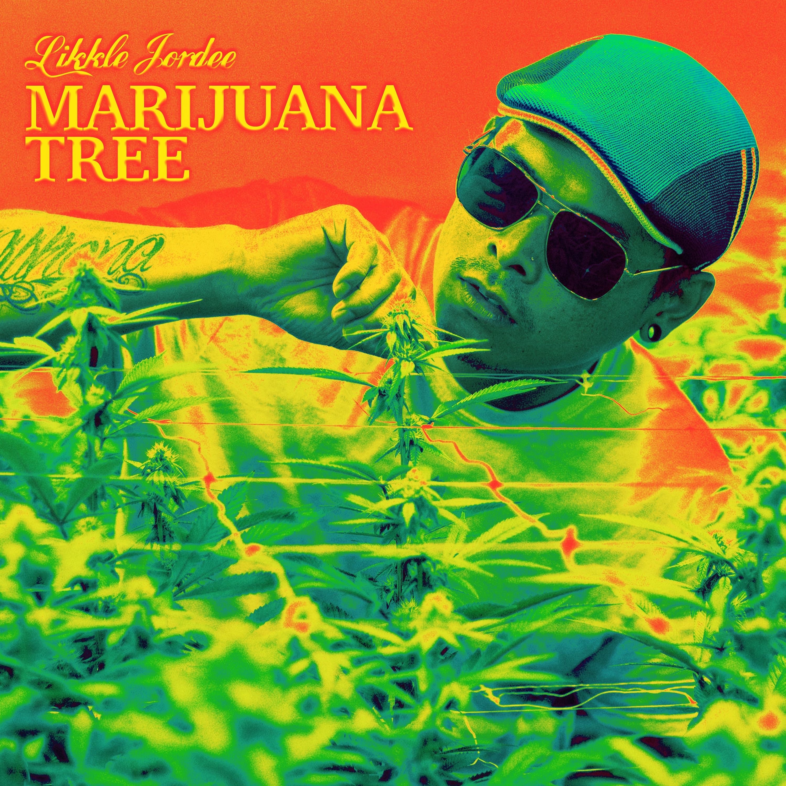 Marijuana Tree - Single album cover