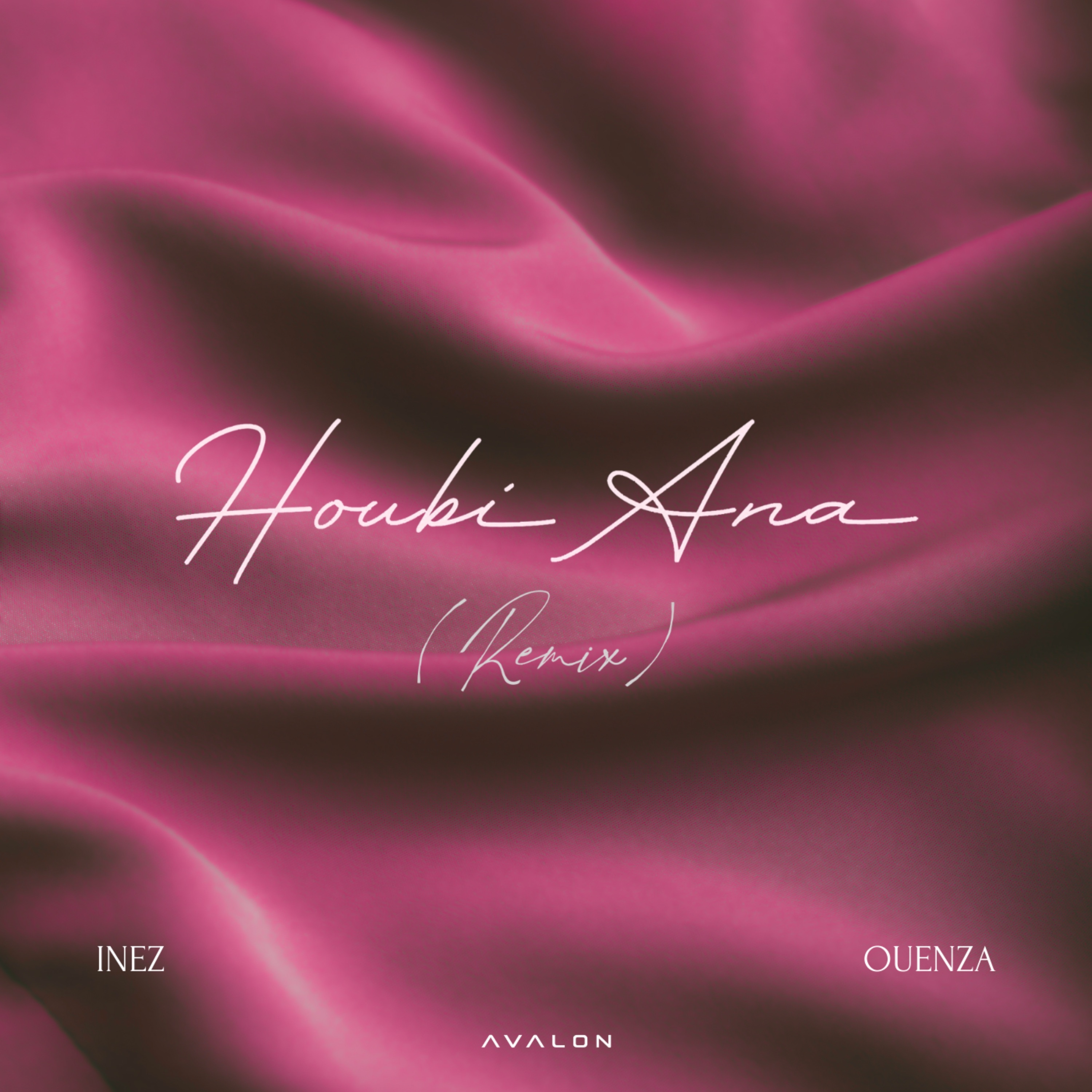 Houbi Ana (OUENZA Remix) - Single album cover