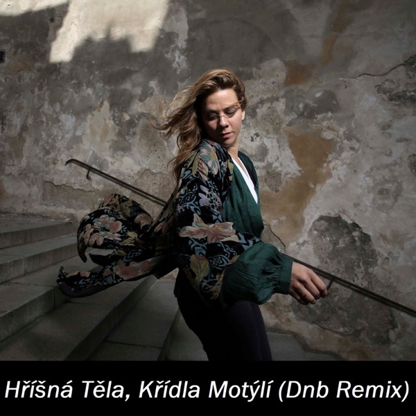 Hříšná Těla, Křídla Motýlí (Dnb Remix) - Single album cover