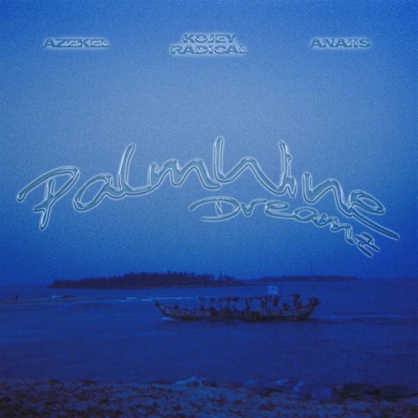 Palm Wine Dreamz (feat. Kojey Radical) - Single album cover
