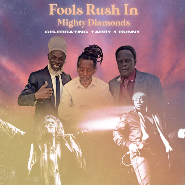 Fools Rush In - Single album cover