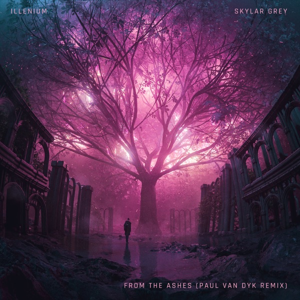 From The Ashes (Paul van Dyk Remix) - Single album cover