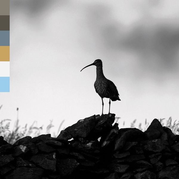 The Arc - Single album cover