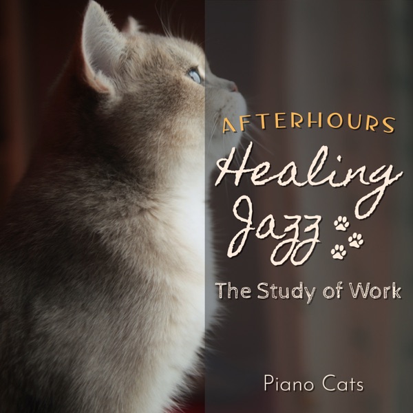 Healing Jazz:Afterhours - The Study of Work album cover
