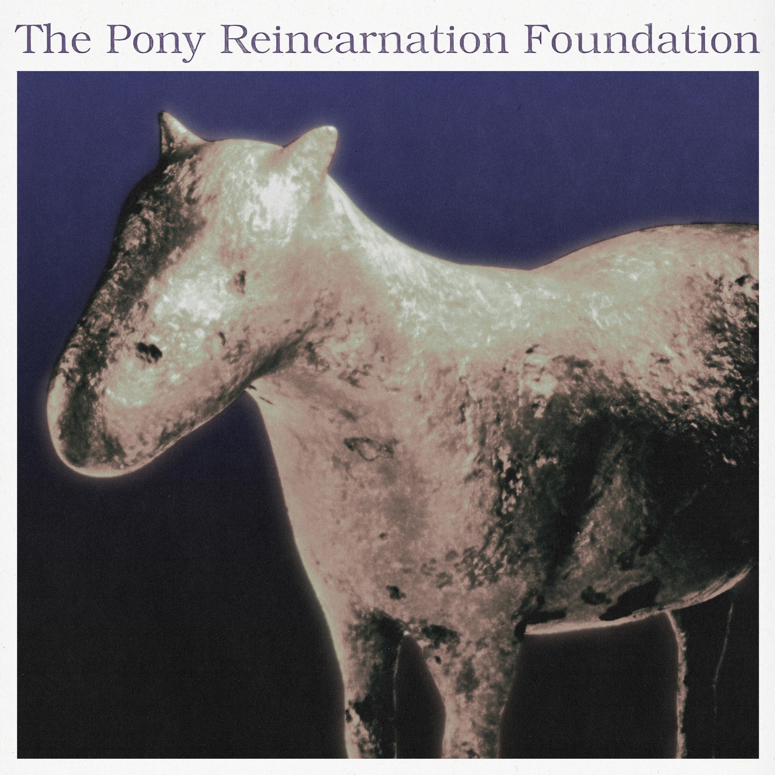 The Pony Reincarnation Foundation album cover