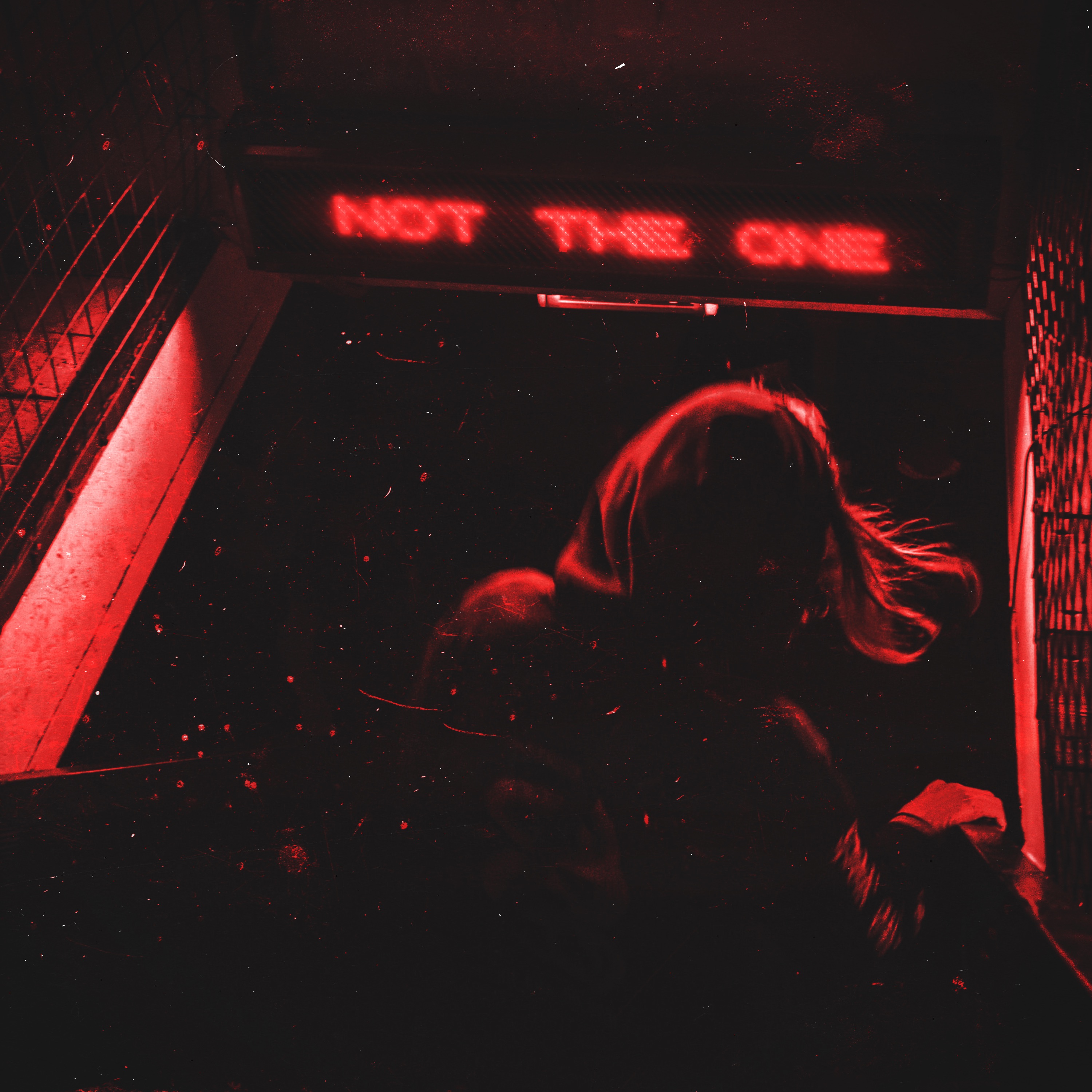 Not the One - Single album cover