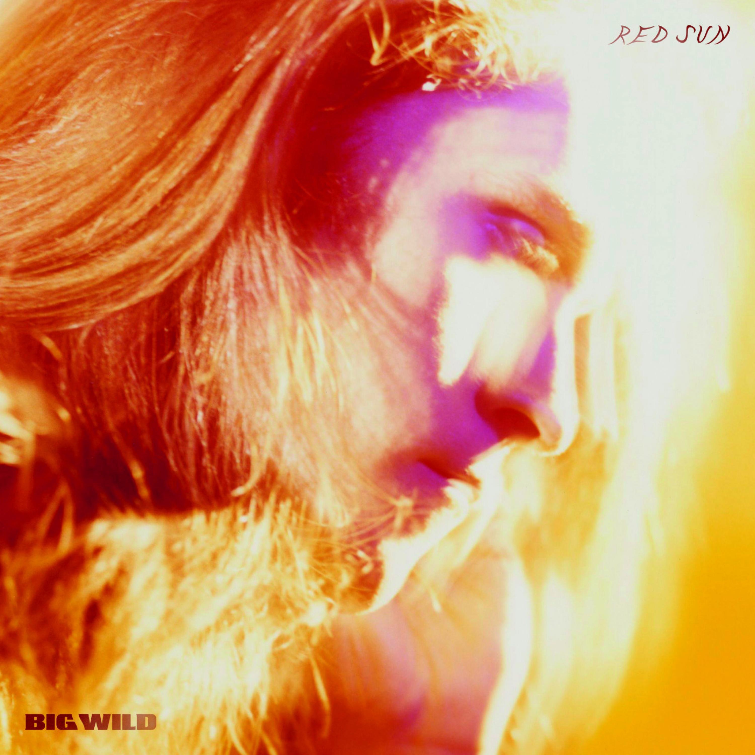 Red Sun - Single album cover