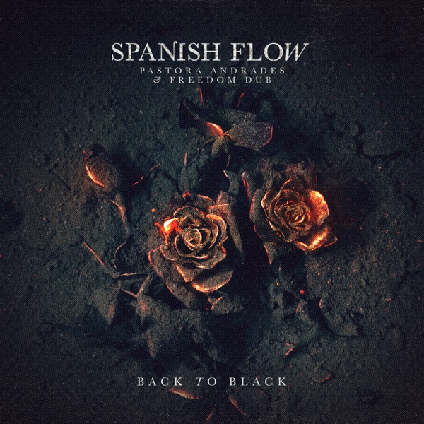 Back to Black - Single album cover