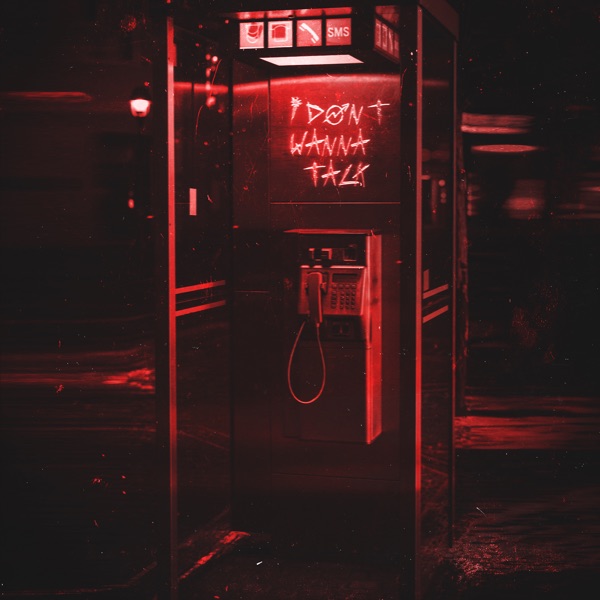 I Don't Wanna Talk - Single album cover