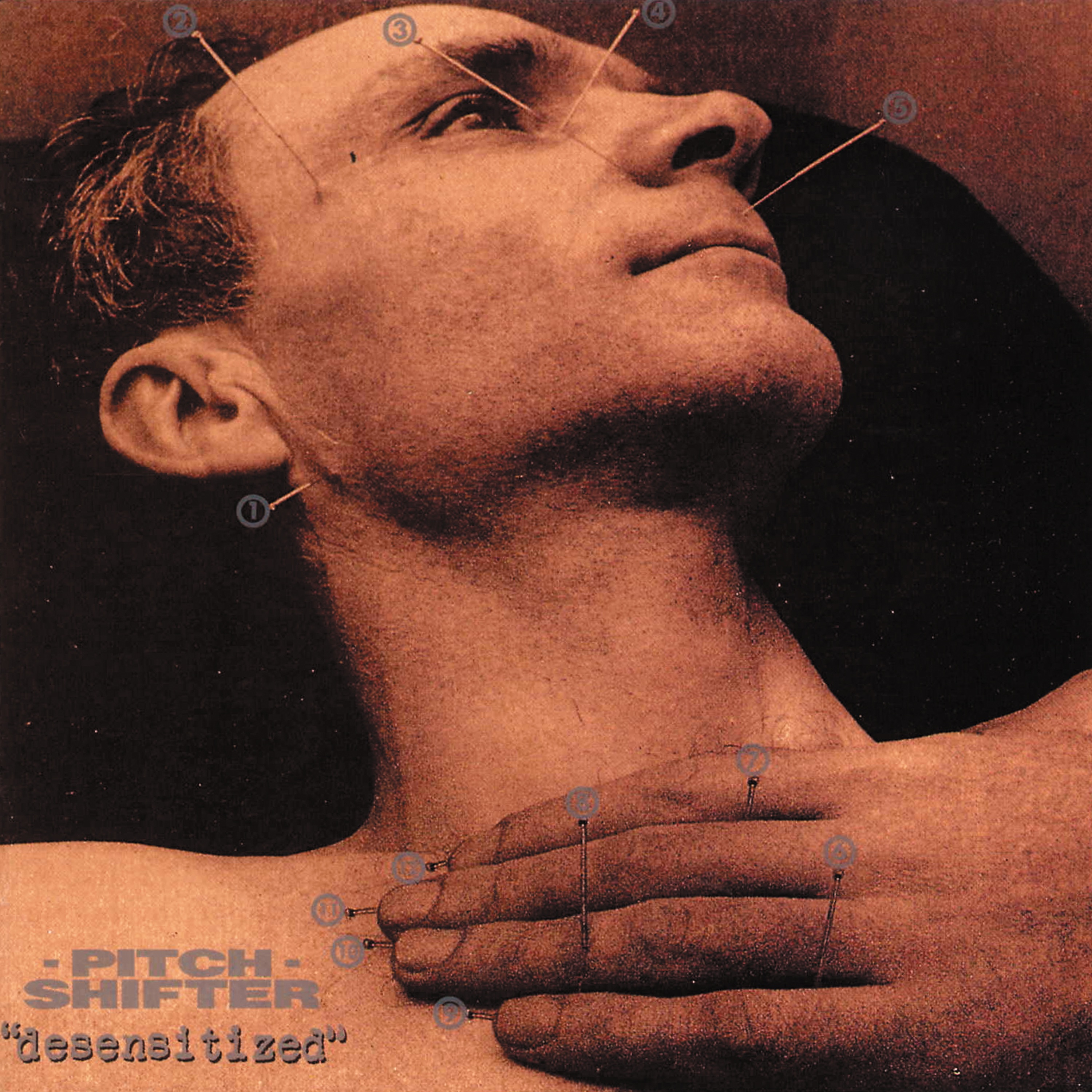 Desensitized album cover