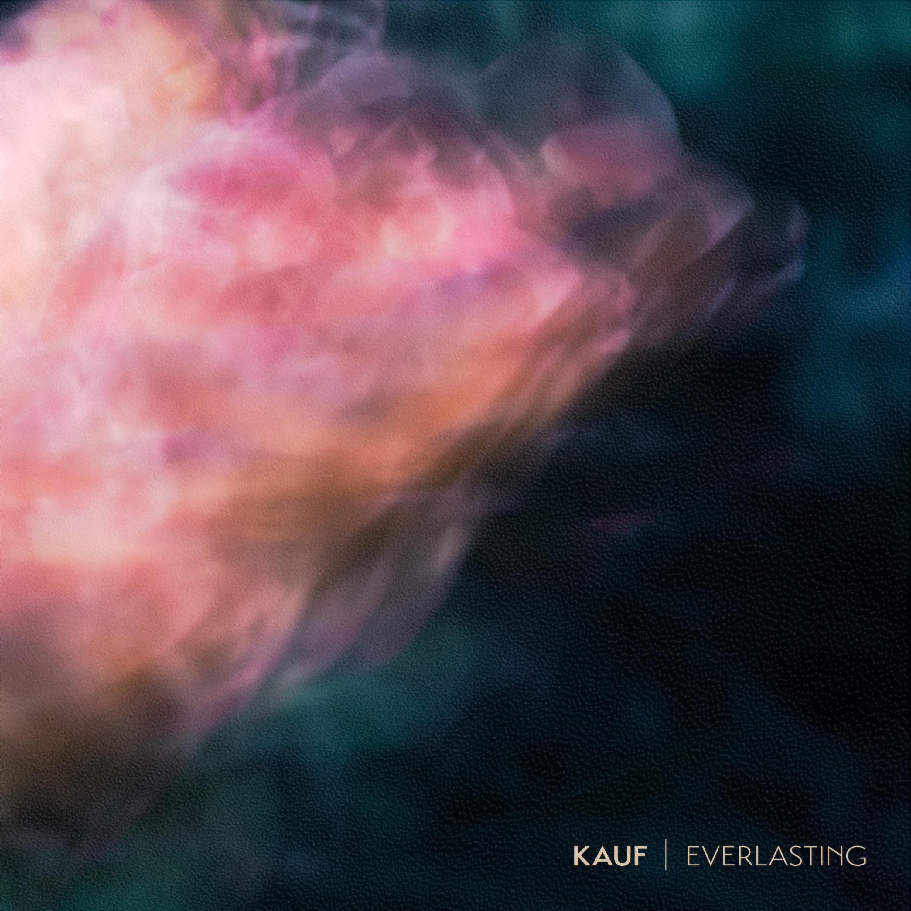 Everlasting - Single album cover