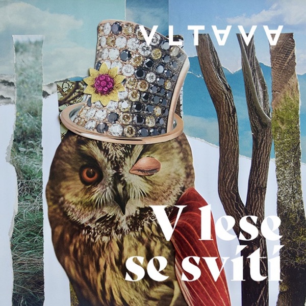 V lese se svítí - Single album cover