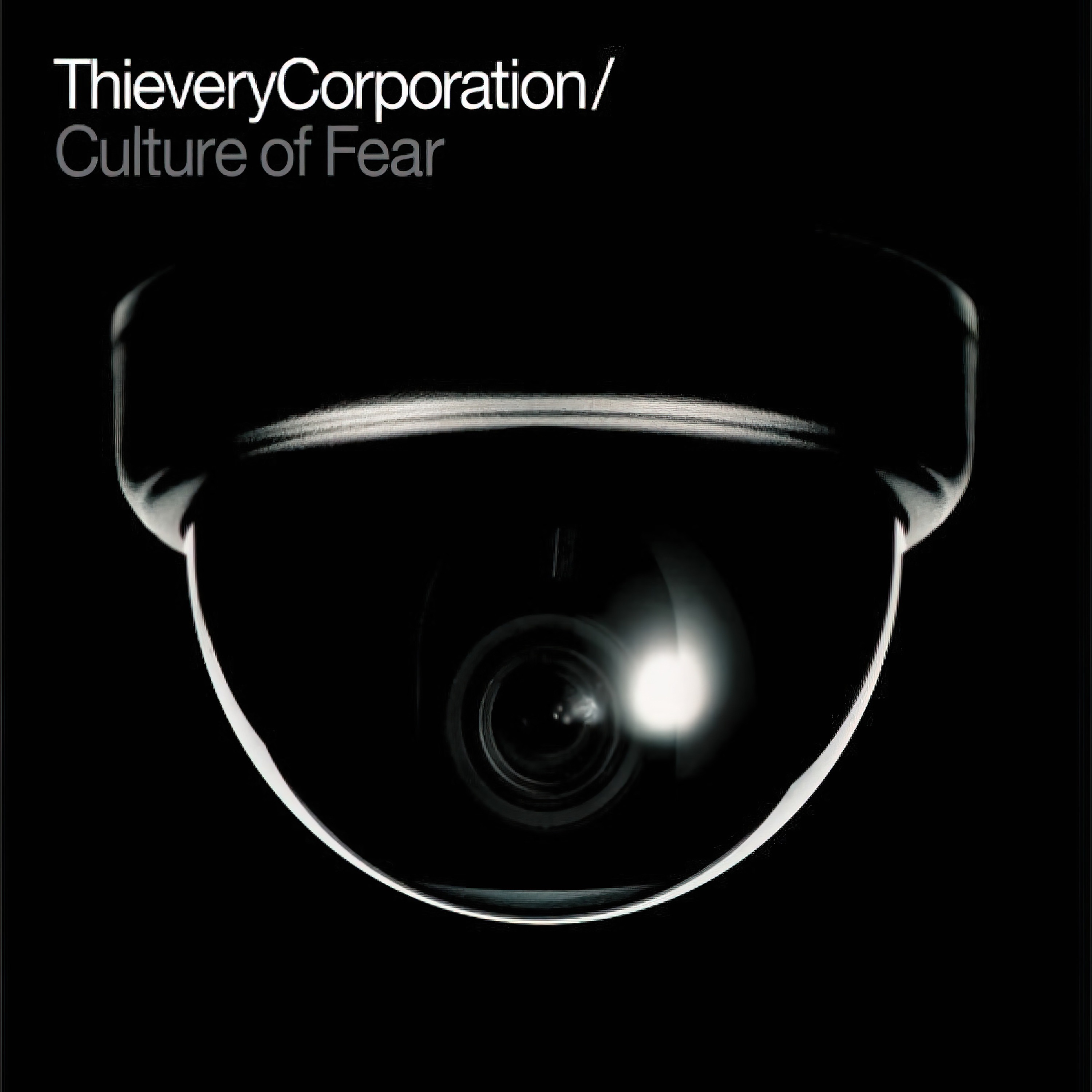 Culture Of Fear album cover