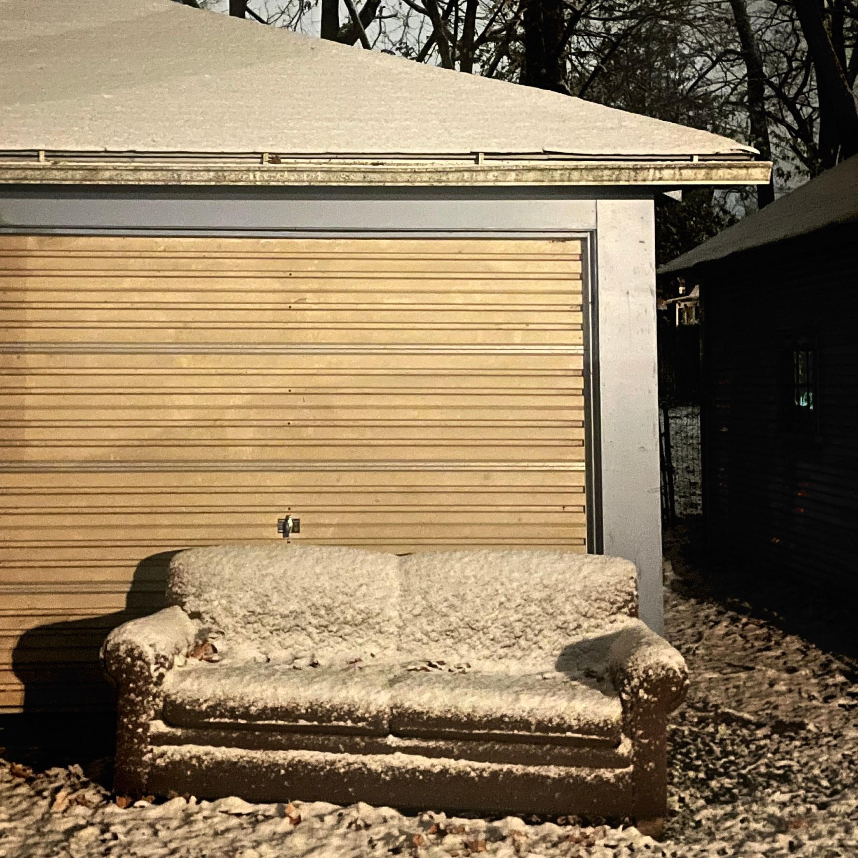 For Tortus (My Cat) - Single album cover