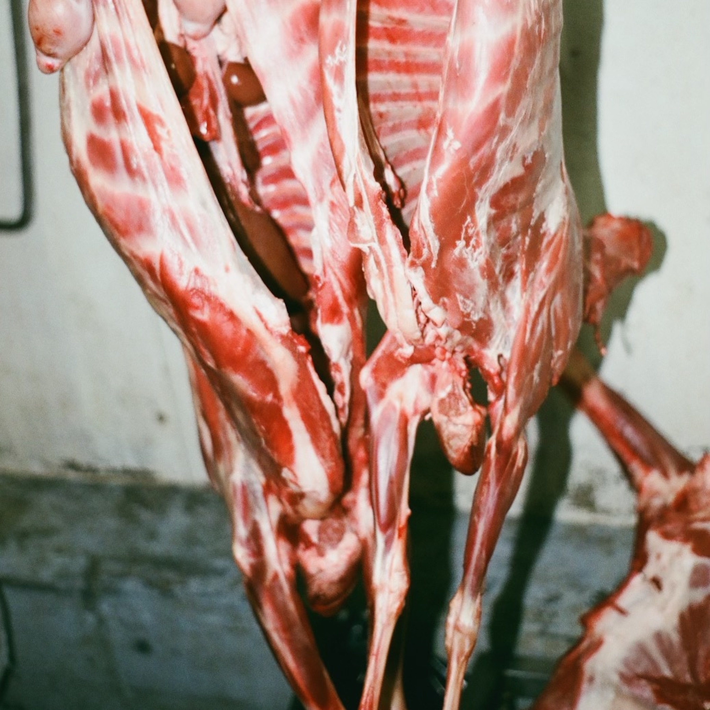 Creature of Habit (Havin') - Single album cover