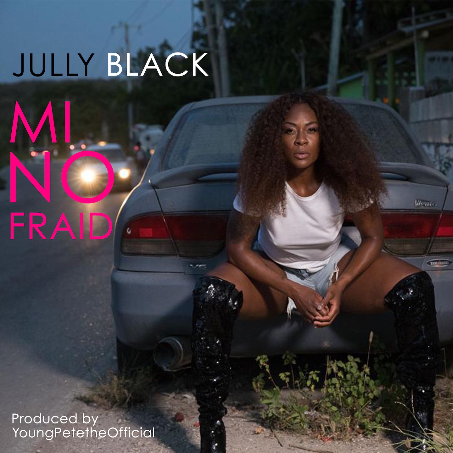 Mi No Fraid - Single album cover